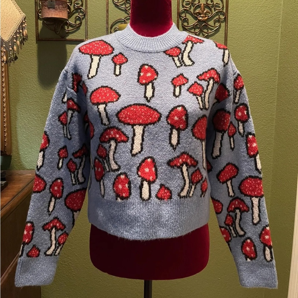 Zara baby blue mushroom sweater